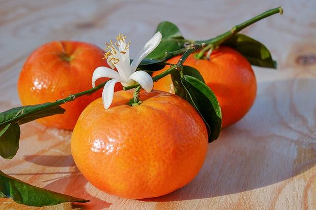 专家称橘子煮水更适合新冠用药 橘子煮水标准步骤来了
